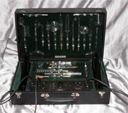 Violet Wand Images - View All